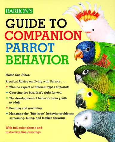 Guide to Companion Parrot Behavior (Paperback)