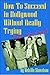 How to Succeed in Hollywood Without Really Trying P.S. - You Can't!