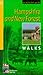 Hampshire & the New Forest (Pathfinder Guides)