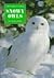 Snowy Owls (Creatures in Wh...