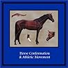 Horse Conformation & Athletic Movement