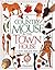 A Country Mouse in the Town House by D.K. Publishing