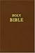 Holy Bible: The New Revised Standard Version Bible
