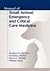 Manual of Small Animal Emergency and Critical Care Medicine by Douglass K. Macintire