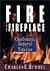 Fire in the Fireplace: Char...