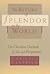 The Return of Splendor in the World: The Christian Doctrine of Sin and Forgiveness