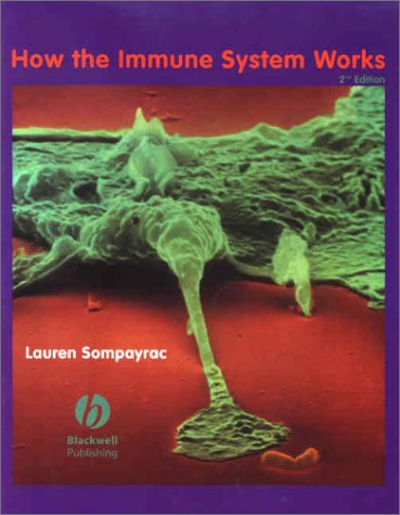 How the Immune System Works (How It Works)