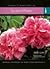 Scented Plants: Instant Reference to More Than 250 Plants