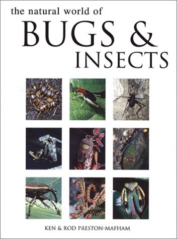 Natural World of Bugs and Insects (Hardcover)