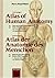 Wolf-Heidegger's Atlas of Human Anatomy: Head and Neck, Thorax, Abdomen, Pelvis, Cns, Eye, Ear (English and German Edition)