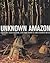 Unknown Amazon: Culture in Nature in Ancient Brazil