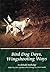 Bird Dog Days, Wingshooting Ways by Archibald Rutledge