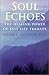 Soul Echoes: The Healing Power of Past-Life Therapy