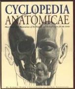 Cyclopedia Anatomicae: More Than 1,000 Illustrations of the Human and Animal Figure for the Artist (Paperback)