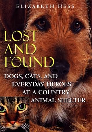 shelter lost and found