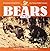 Bears for Kids