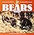 Bears for Kids by Jeff Fair Bears for Kids by Jeff Fair