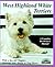 West Highland White Terriers (A Complete Pet Owner's Manual)