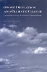 Ozone Depletion and Climate Change: Constructing a Global Response (Global Politics)