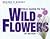 Field Guide to the Wild Flowers of Britain
