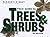 Field Guide to the Trees and Shrubs of Britain by Jeanette Harris