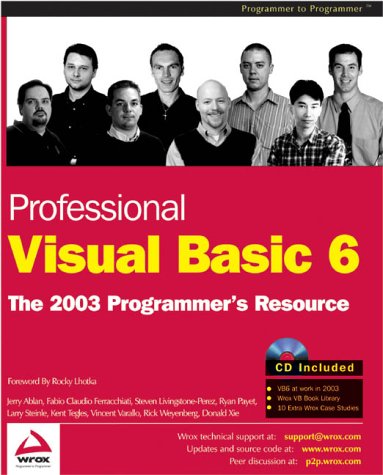 Professional Visual Basic 6: The 2003 Programmer's Resource (Paperback)