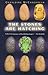 The Stones Are Hatching by Geraldine McCaughrean