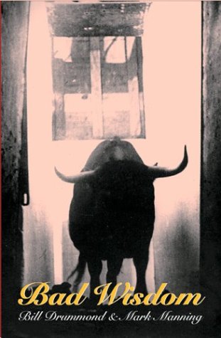 Bad Wisdom (Paperback)