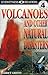 Volcanoes And Other Natural Disasters (DK Readers L4)