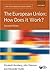 The European Union: How Does It Work? (New European Union Series)