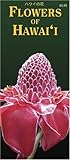 Flowers of Hawaii (Hawaii Pocket Guides)