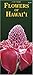 Flowers of Hawaii (Hawaii Pocket Guides)