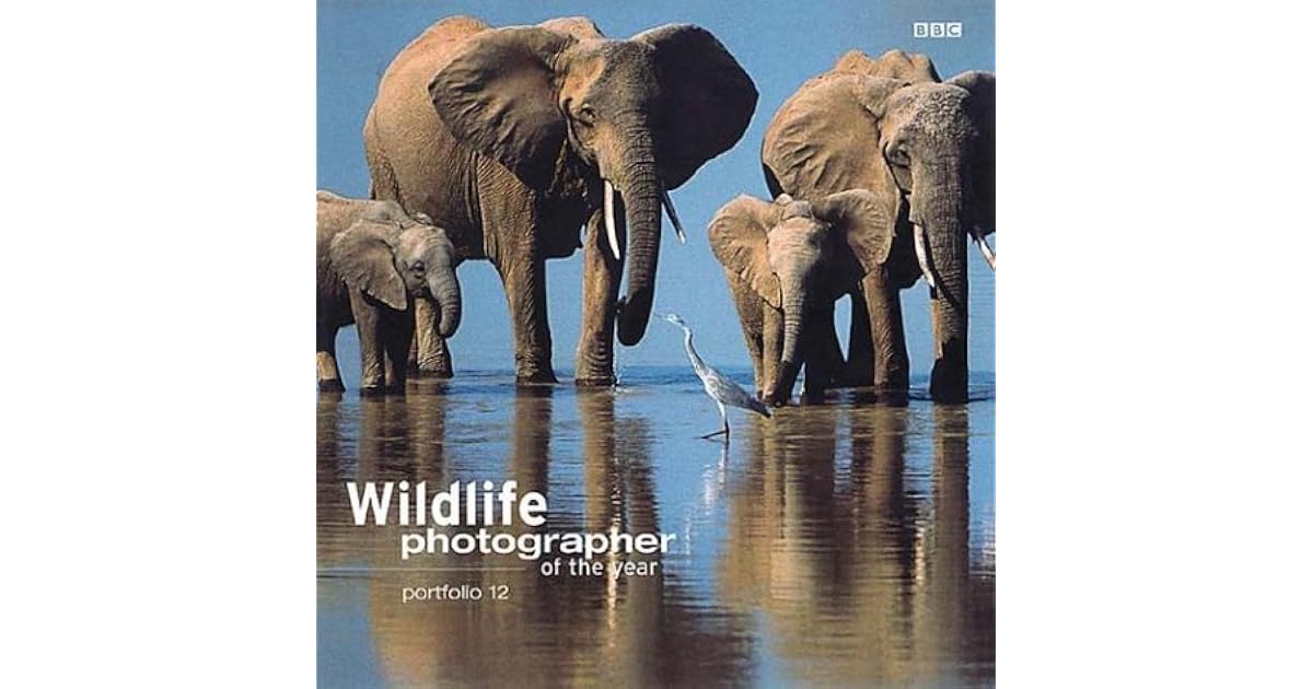Wildlife Photographer of the Year Portfolio 12 by BBC