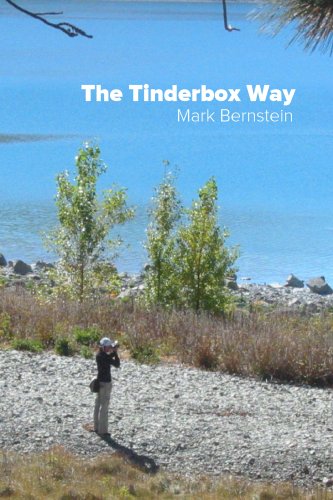 The Tinderbox Way (Paperback)