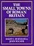 The Small Towns of Roman Britain