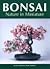 Bonsai: Nature in Miniature