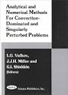 Analytical and Numerical Methods for Convection-Dominated and Singularly Perturbed Problems
