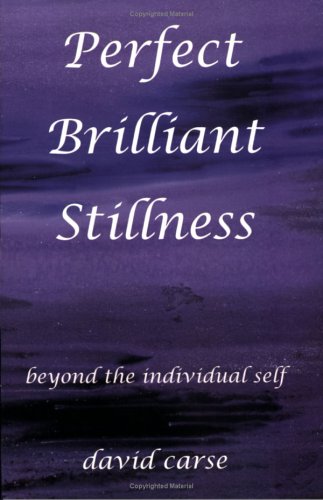 Perfect Brilliant Stillness (Paperback)