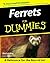 Ferrets for Dummies by Kim Schilling