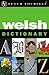 Teach Yourself Welsh Dictionary