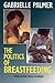 The Politics of Breastfeeding by Gabrielle  Palmer