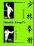 Introduction to Shaolin Kun...