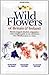 The Wild Flowers of Britain...