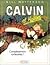 Calvin et Hobbes 15 by Bill Watterson