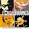 Flash Frames: A New Pop Culture