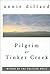 Pilgrim at Tinker Creek