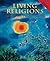 Living Religions: Western Traditions