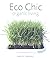 Eco Chic: Organic Living