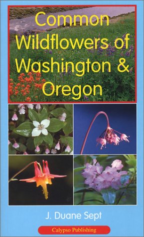 Common Wildflowers of Washington & Oregon (Paperback)