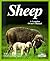 Sheep: Everything About Housing, Care, Feeding, and Sicknesses/Special Chapter : Milking and What to Do With the Milk, Shearing and Processing the W